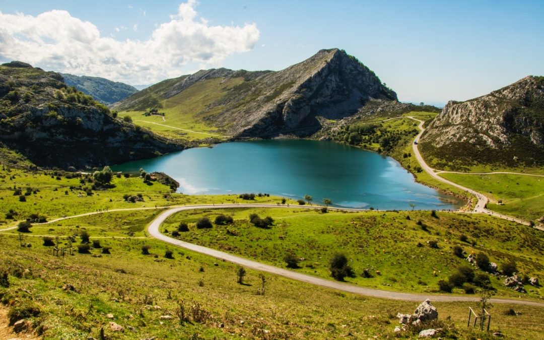 Los mejores sitios para comer buena carne de vacuno en Asturias